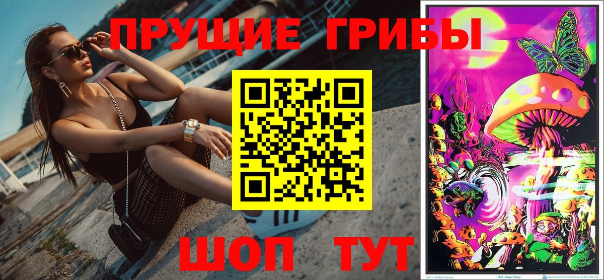 Зеленокумск  Галлюциногенные грибы Psilocybe  Вход с VPN 