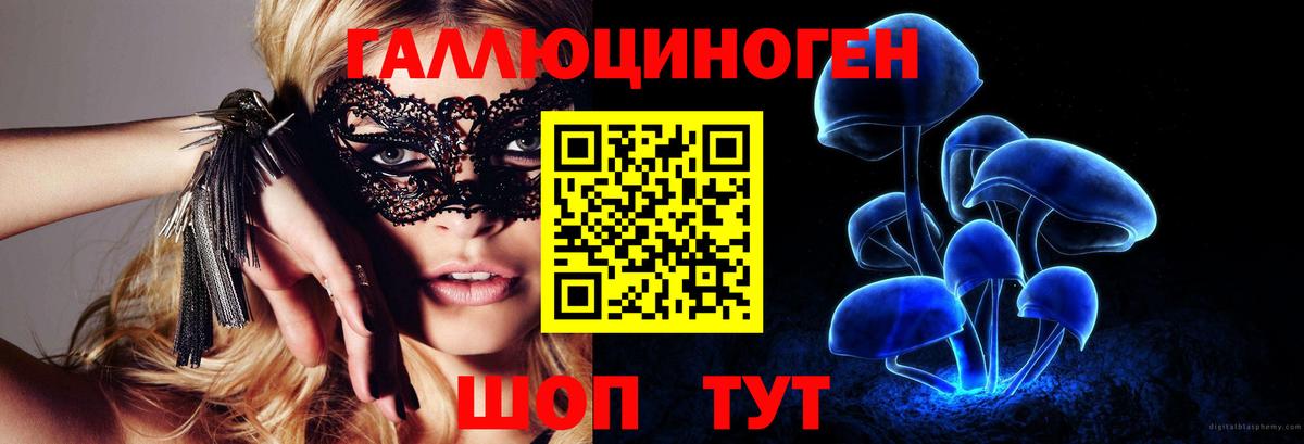 Псилоцибиновые грибы мицелий Зеленокумск